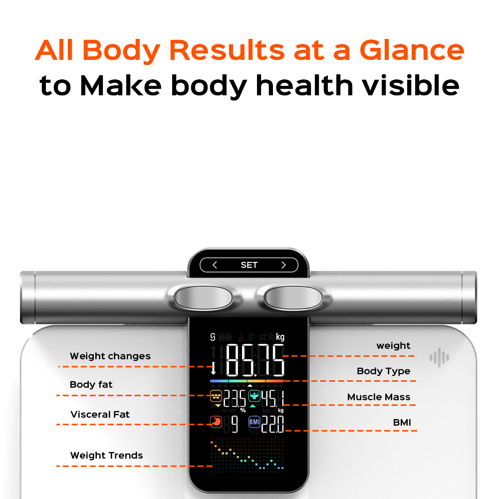 2025 nueva función de medición - Digital Body Weight Scale reseña y precio