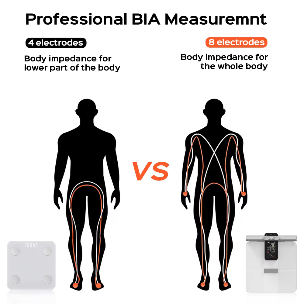 2025 nueva función de medición - Digital Body Weight Scale reseña y precio