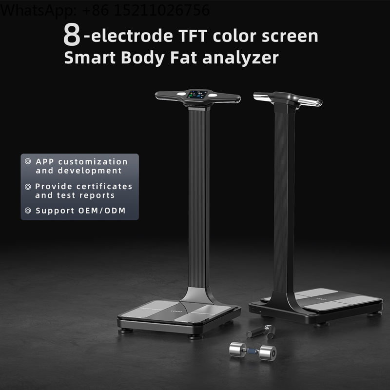 Báscula de Composición Corpora - Digital Body Weight Scale reseña y precio