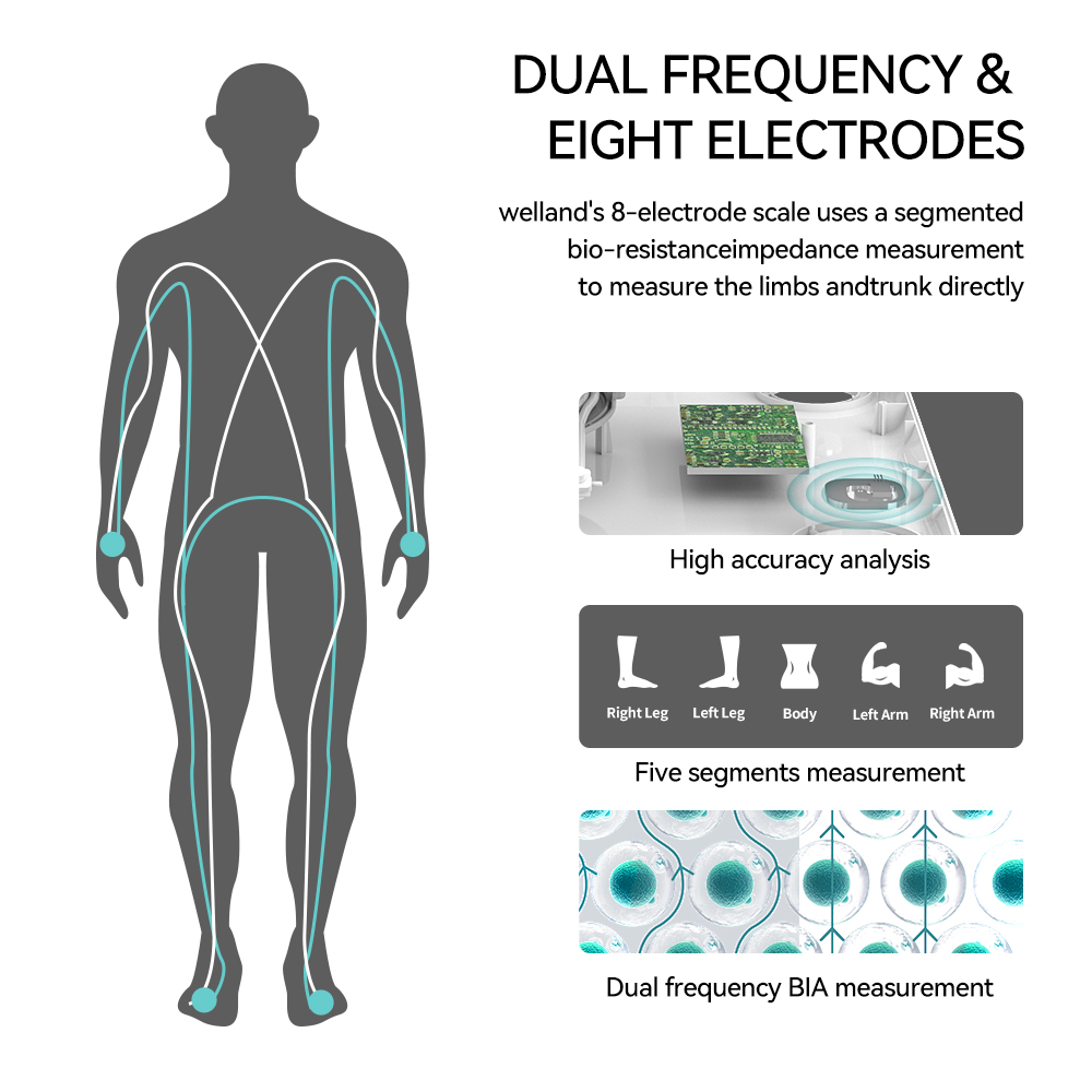 Báscula de peso corporal con 8 - Digital Body Weight Scale reseña y precio