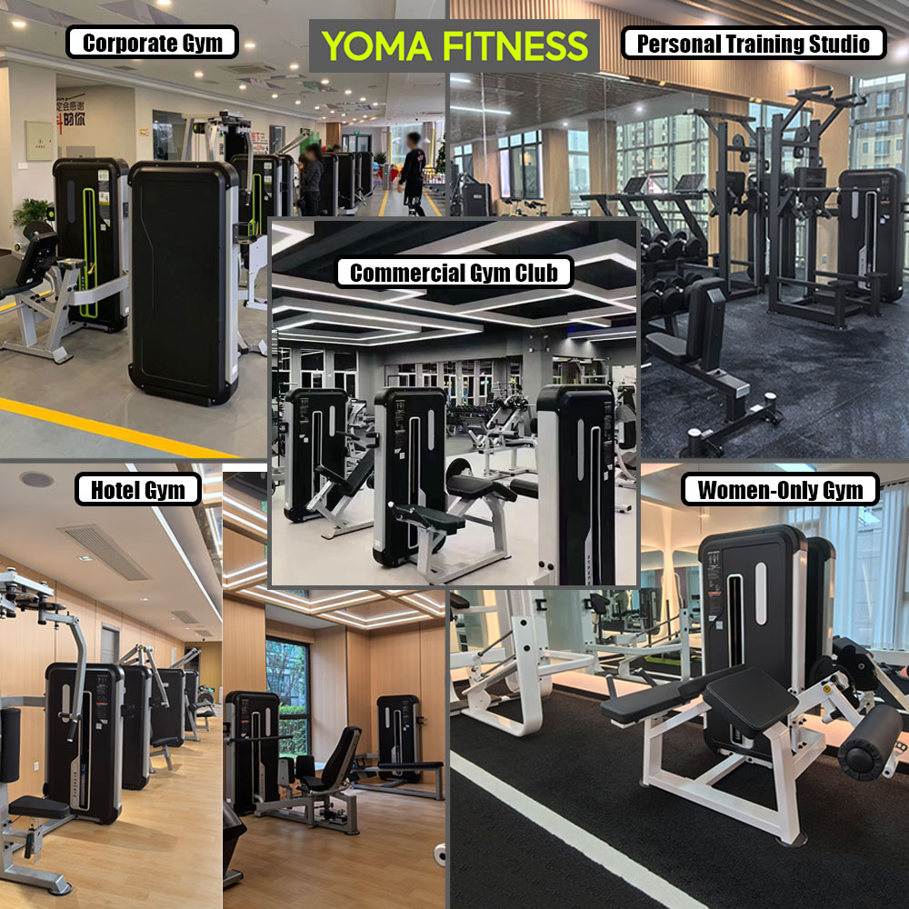 Conjuntos de equipos de entren - Health Wellness Training reseña y precio