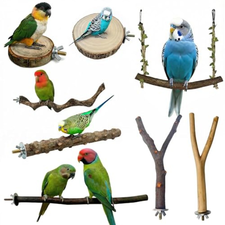 8 perchas de madera natural pa - Health & Wellness Services At Western University Photos reseña y precio